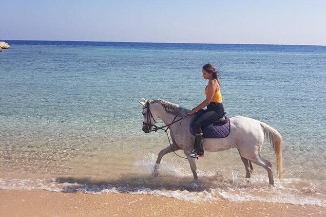 Horse Ride Trip , Bedouin Dinner And Show - Sharm El Sheikh - Location and Duration