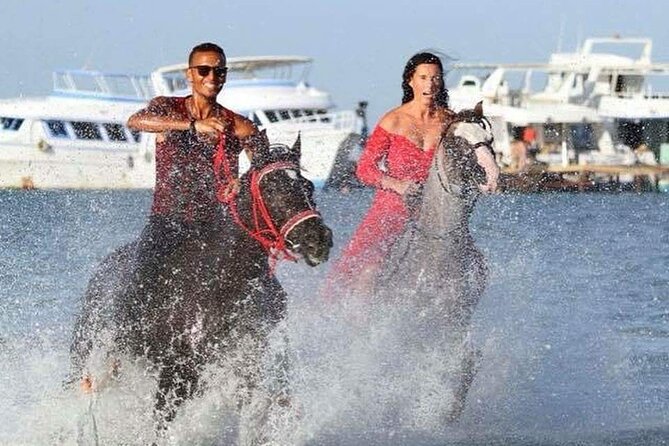 Horse Ride Trip , Bedouin Dinner And Show - Sharm El Sheikh - Booking and Cancellation Policy
