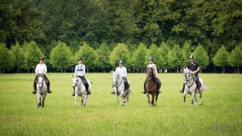 Horse Ride Versailles Intimacy & VIP - Meeting Point and Transport