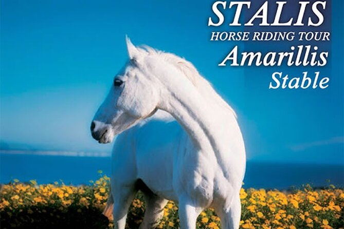 HORSE RIDING 1.5 Hours Mountains From Area Hersonissos CRETE - Key Points