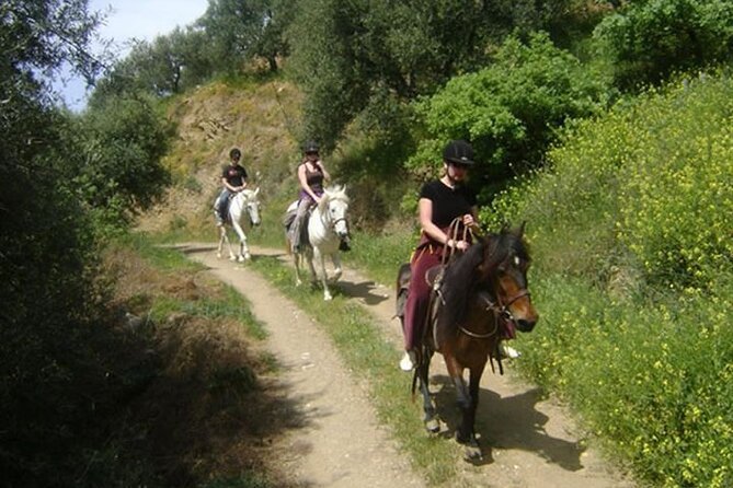 HORSE RIDING 1.5 Hours Mountains From Area Hersonissos CRETE - Pickup and Transfer Information