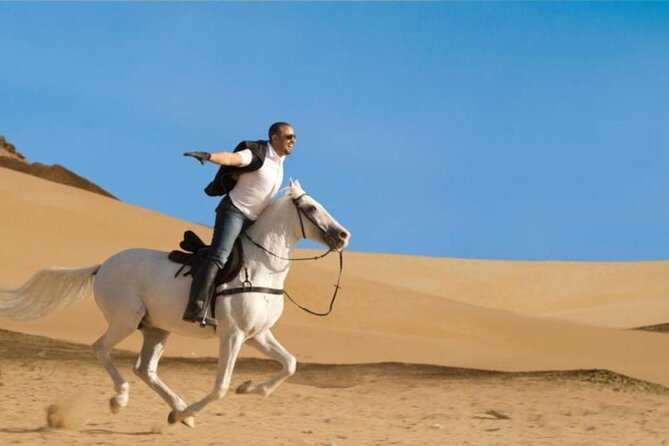 Horse Riding 1-Hour Adventure Trip With Transfer - Hurghada - Meeting and Pickup