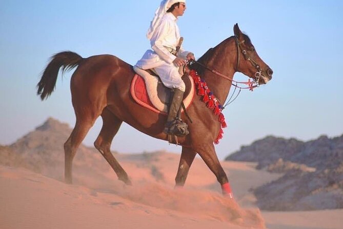 Horse Riding 1-Hour Adventure Trip With Transfer - Hurghada - Questions About Your Stay