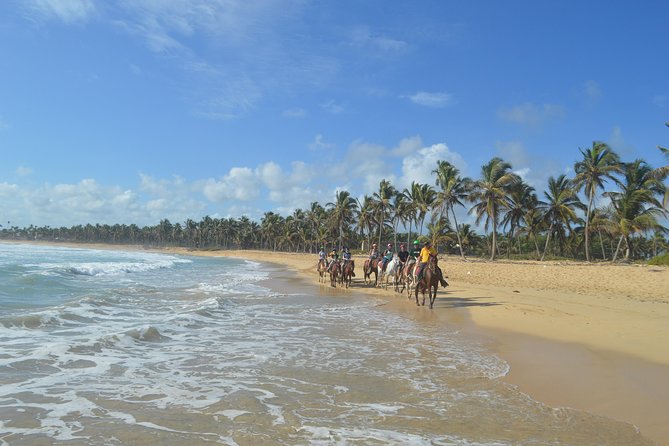 Horse Riding (1 Hour) - About Your Stay