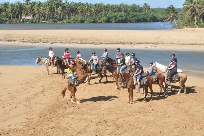 Horse Riding (1 Hour) - Pickup and Meeting