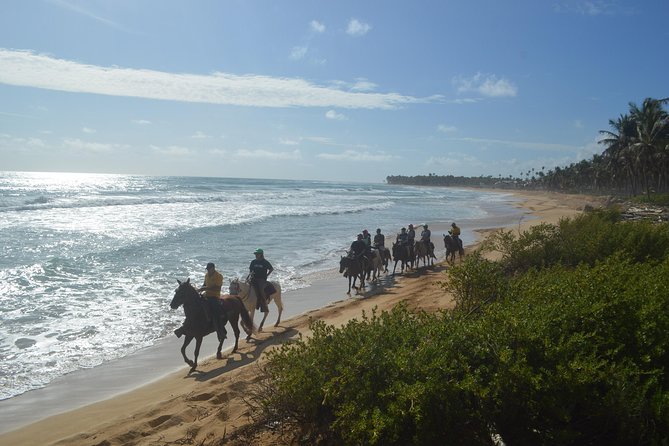 Horse Riding (1 Hour) - Customer Feedback