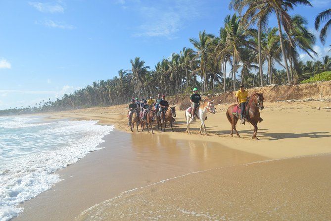 Horse Riding (1 Hour) - Safety and Precautions