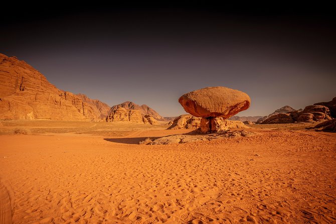 Horse Riding 2 Hours Tour in Wadi Rum - Customer Reviews