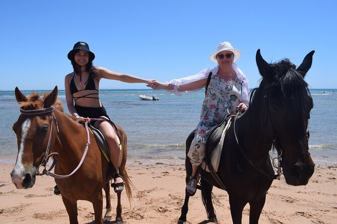 Horse Riding 3 Hours Beach, Desert, & Swimming by Horse in Red Sea - Hurghada - Safety and Accessibility