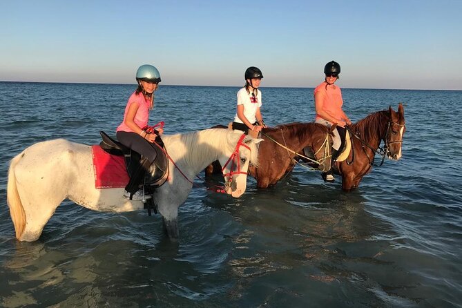 Horse Riding 3 Hours Desert Beach Swimming by Horse in Hurghada - Customer Feedback and Experience