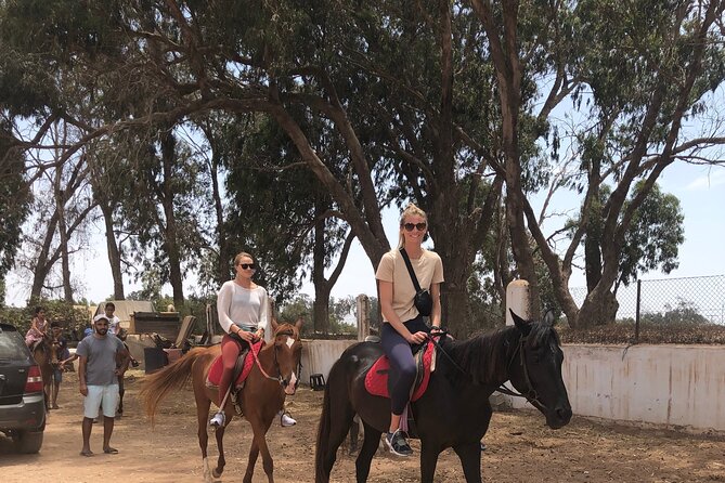 Horse Riding Agadir - Spotting Wildlife and Rare Birds