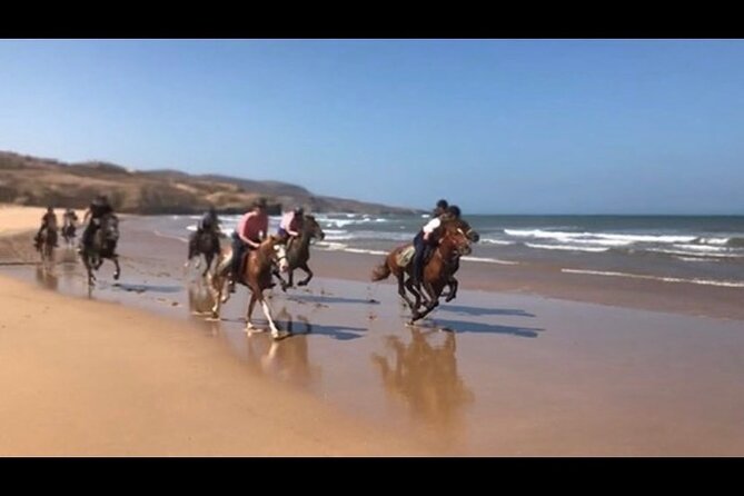 Horse Riding Agadir - Customizing for Beginner or Experienced Riders