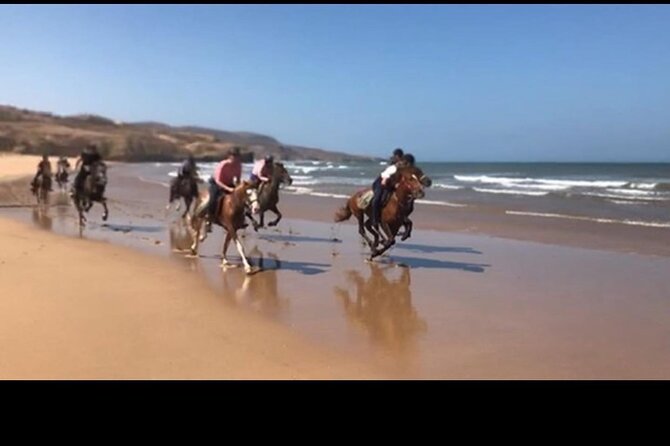 Horse Riding Agadir - Booking and Reservation Information