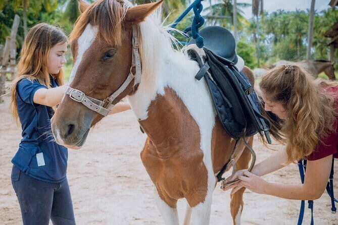 Horse Riding and Beach Trails on Koh Samui - What to Expect on Your Koh Samui Horseback Adventure