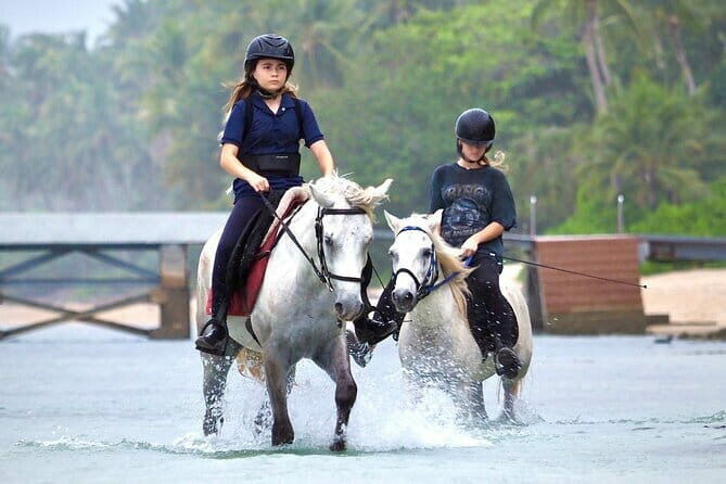 Horse Riding and Beach Trails on Koh Samui - The Itinerary in Detail