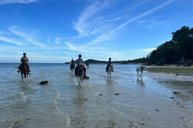 Horse Riding and Beach Trails on Koh Samui - Authentic Experiences and Authentic Feedback