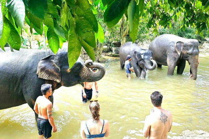 Horse Riding and Beach Trails on Koh Samui - Practical Tips for Your Ride