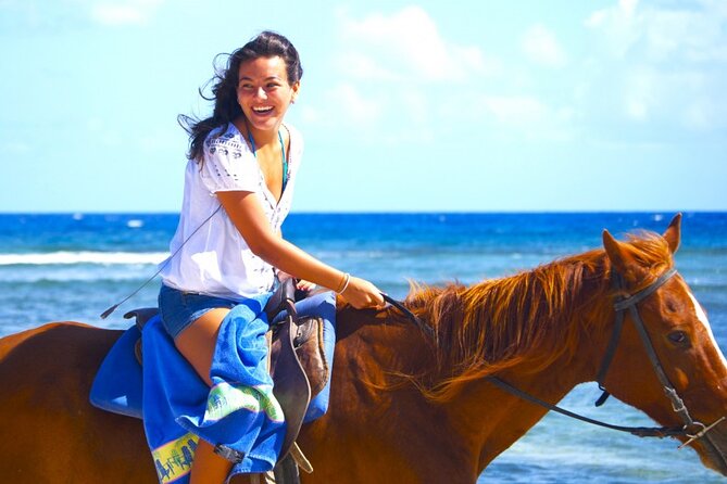 Horse Riding at Red Sea Desert and Sea From Sharm - Key Points