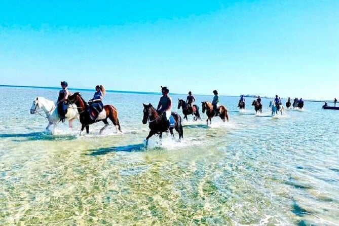 Horse Riding at Red Sea Desert and Sea From Sharm - Traveler Experiences