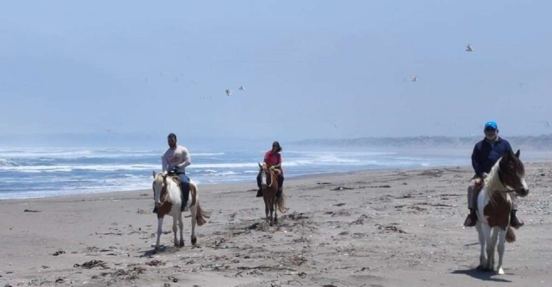 Horse Riding & Barbecue, Ritoque Sand Dunes & Beach F. Valpo - Itinerary Details