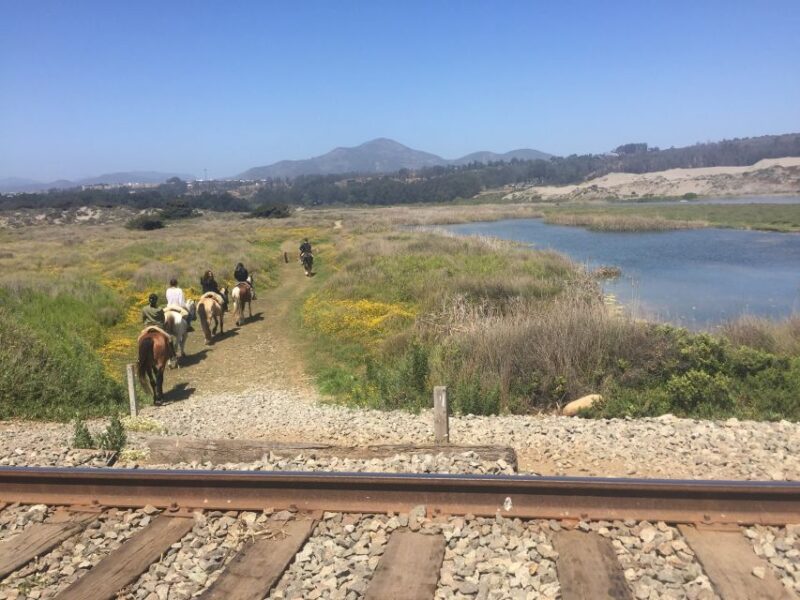 Horse Riding & Barbecue, Ritoque Sand Dunes & Beach F. Valpo - Participant Guidelines