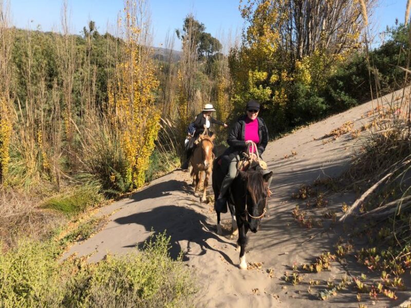 Horse Riding & Barbecue, Ritoque Sand Dunes & Beach F. Valpo - Preparation and Restrictions