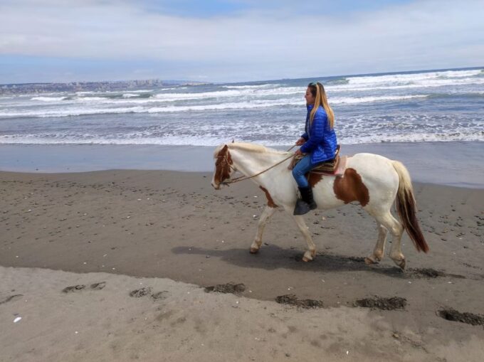 Horse Riding & Barbecue, Ritoque Sand Dunes & Beach F. Valpo - Dining and Refreshments