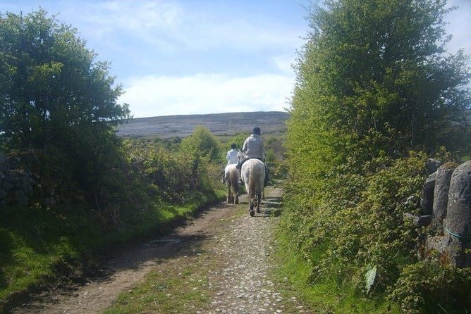 Horse Riding - Burren Trail. Lisdoonvarna, Co Clare. Guided. 3 Hours. - Safety and Equipment
