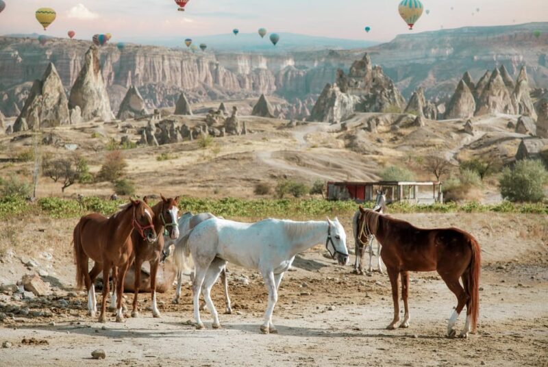 Horse Riding Cappadocia- Cappadocia Horse Farm - Key Points