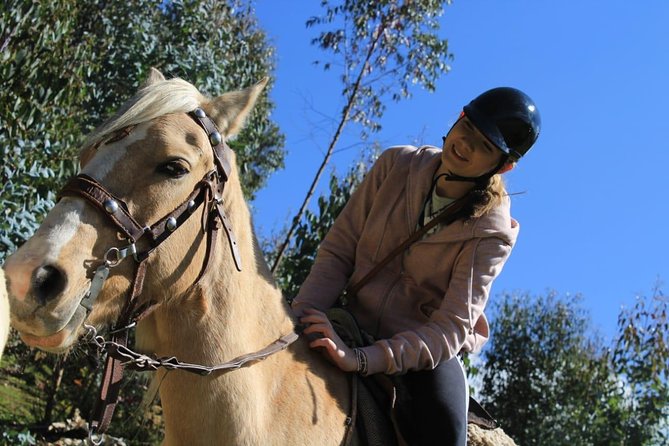 Horse Riding Chacan Mountain And Temple Of The Moon - Customer Experiences