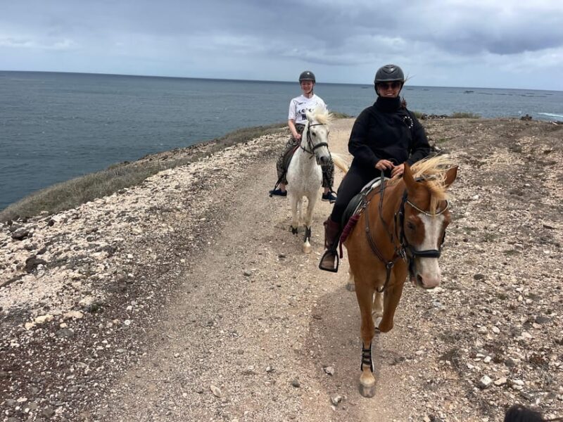 Horse Riding Coast Tour - Key Points