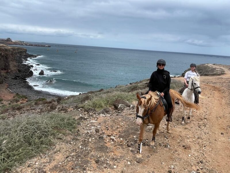 Horse Riding Coast Tour - Price and Duration