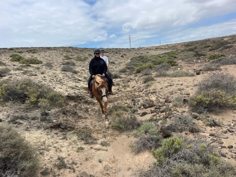Horse Riding Coast Tour - Guided Tour and Private Group