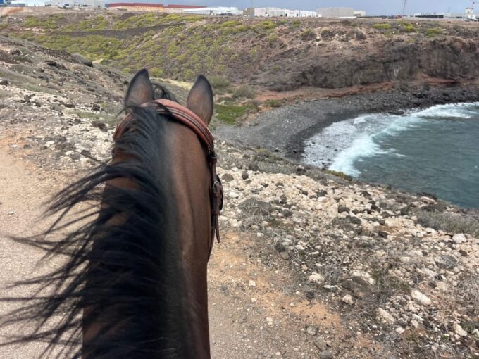 Horse Riding Coast Tour - Scenic Features and Inclusions