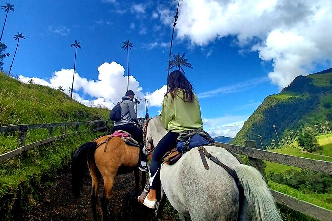 Horse Riding Cocora Valley - Accessibility Considerations
