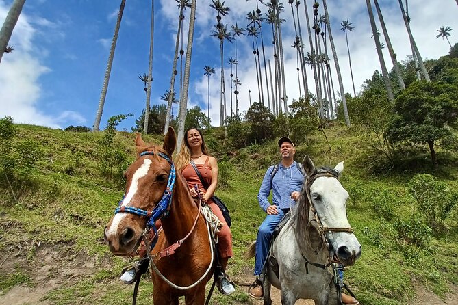 Horse Riding Cocora Valley - Pricing and Cancellation Policy