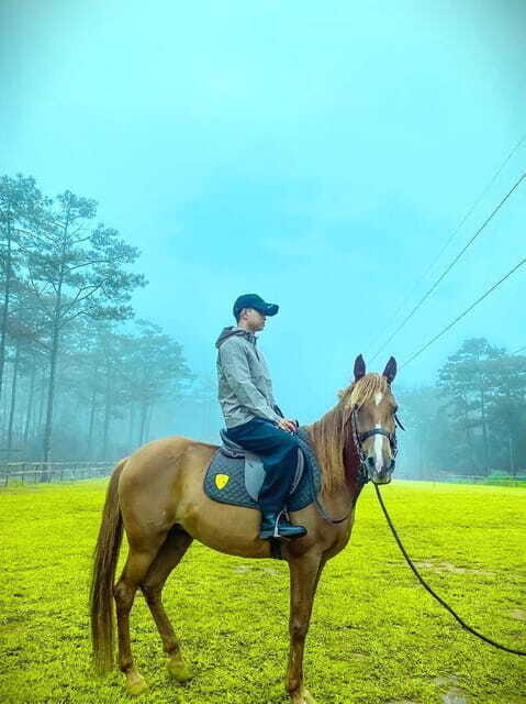 Horse Riding Course in Mang Den With Pickup and Drinks - 1-on-1 Coaching