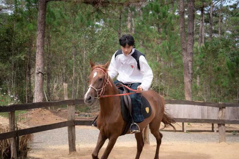 Horse Riding Course in Mang Den With Pickup and Drinks - Suitability and Restrictions
