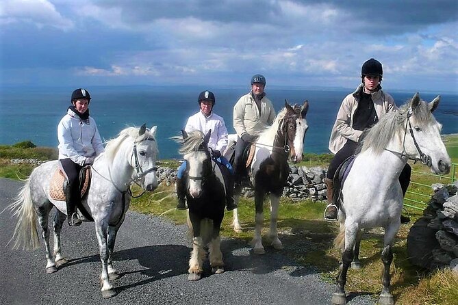 Horse Riding - Dirt Trek Trail. Lisdoonvarna, Clare. Guided. 1 Hour. - Scenic Highlights of the Ride