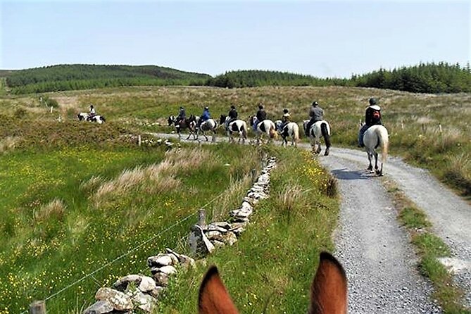 Horse Riding - Dirt Trek Trail. Lisdoonvarna, Clare. Guided. 1 Hour. - Customer Reviews and Feedback