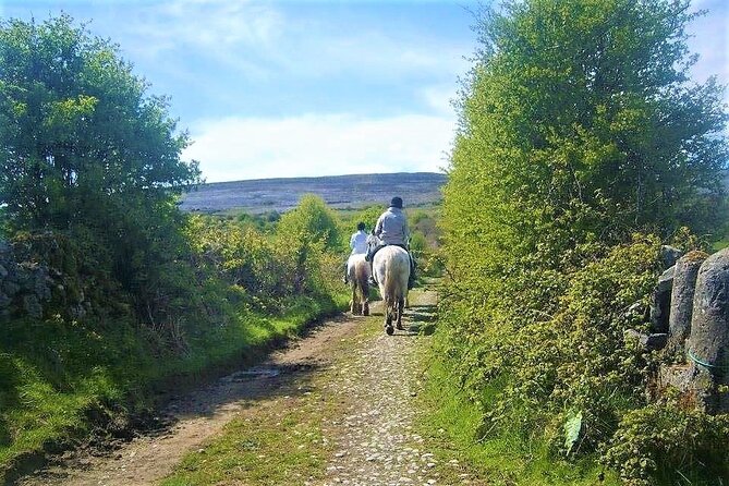 Horse Riding - Dirt Trek Trail. Lisdoonvarna, Clare. Guided. 1 Hour. - Exploring the Irish Countryside on Horseback