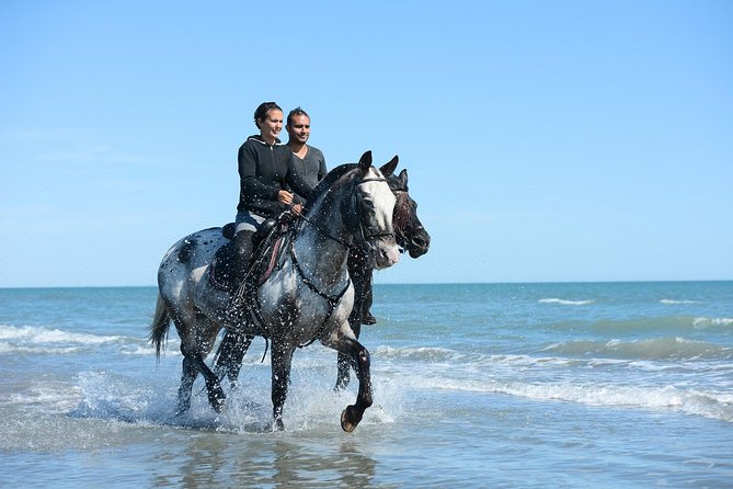 Horse Riding -Evening- in Paros - Pricing and Inclusions