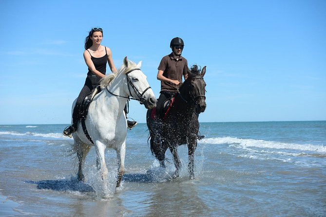 Horse Riding -Evening- in Paros - Scenic Sunset Ride