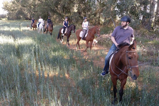 Horse Riding Excursion From Seville - Customer Reviews and Feedback
