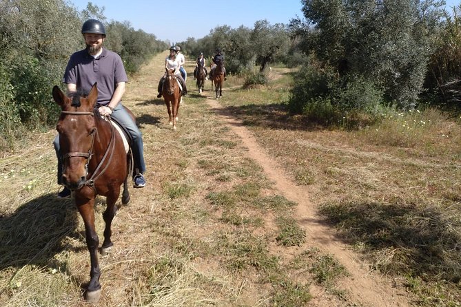 Horse Riding Excursion From Seville - Pricing and Booking