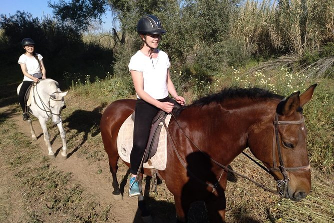 Horse Riding Excursion From Seville - Activity Duration and Location