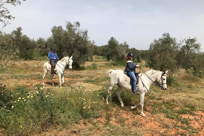Horse Riding Excursion From Seville - Wildlife Spotting Opportunities