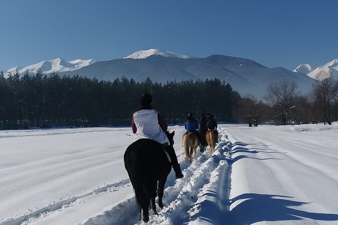 Horse Riding Experience From Bansko - About Your Stay