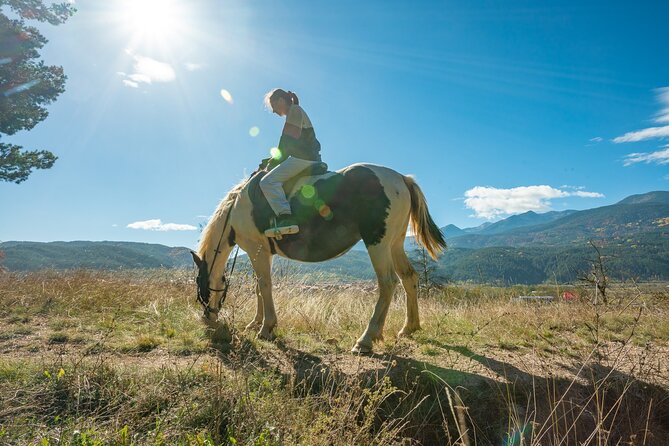 Horse Riding Experience From Bansko - Review Breakdown and Notable Feedback