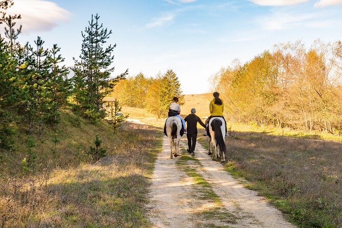 Horse Riding Experience From Bansko - Additional Considerations